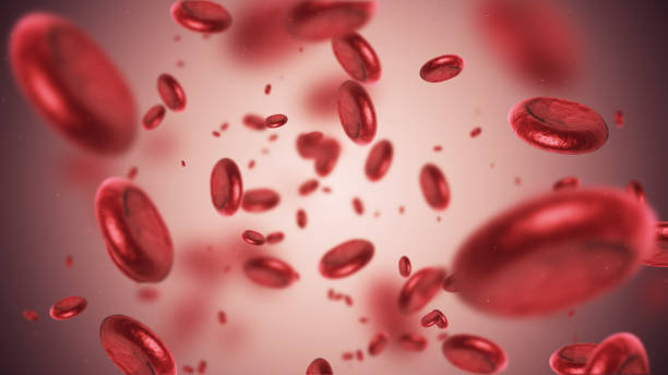 فقر آهن یا کم خونی چیست؟